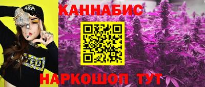 шишки Тулун