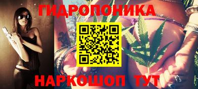 шишки Тулун