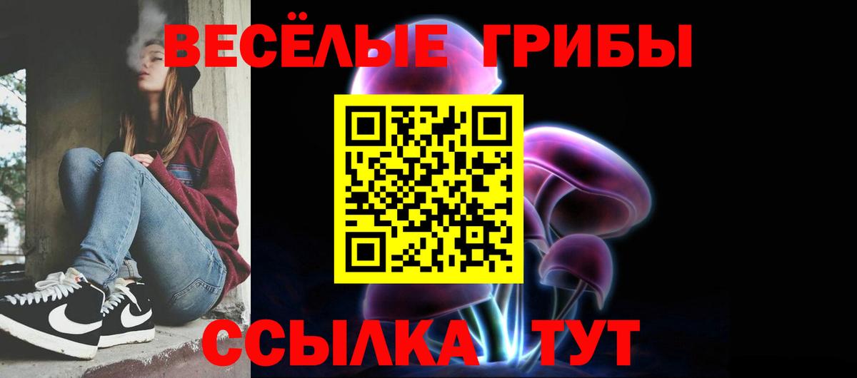 Галлюциногенные грибы Magic Shrooms  закладка  Вход с VPN  Павлово  Галлюциногенные грибы GOLDEN TEACHER 