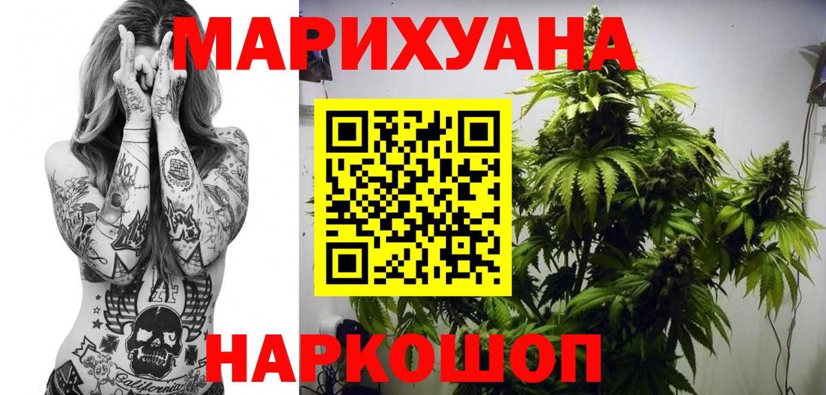 Канабис конопля Павлово